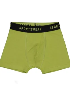 Boxer - Vert